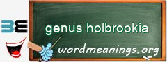 WordMeaning blackboard for genus holbrookia